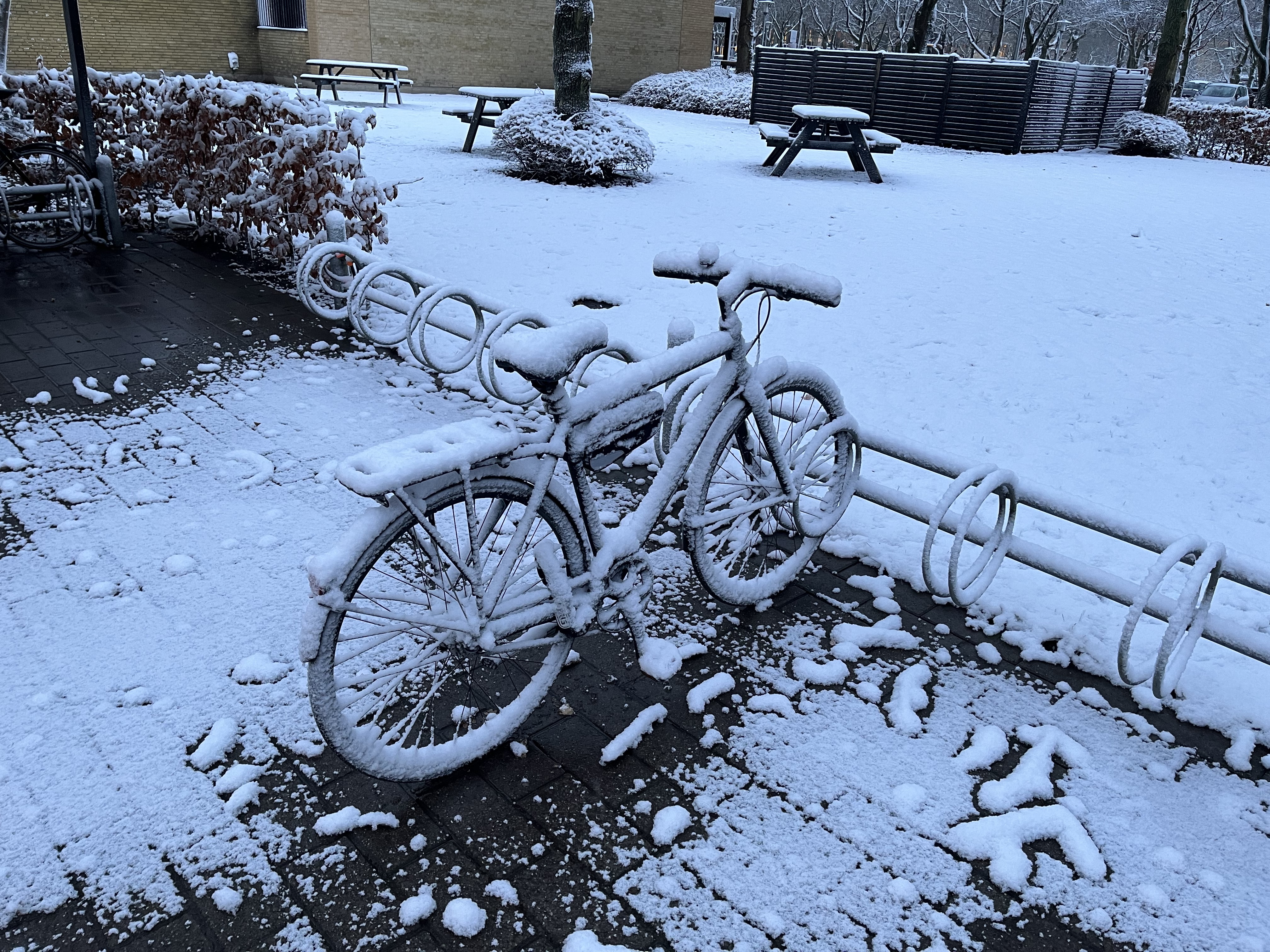 Bike covered by snow